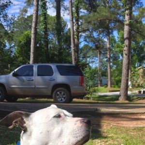 Meet your Posher, Sutherlan